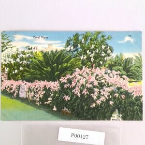 Vintage Florida Linen Postcard Coral Vines Tropical Flowers Floral 1954
